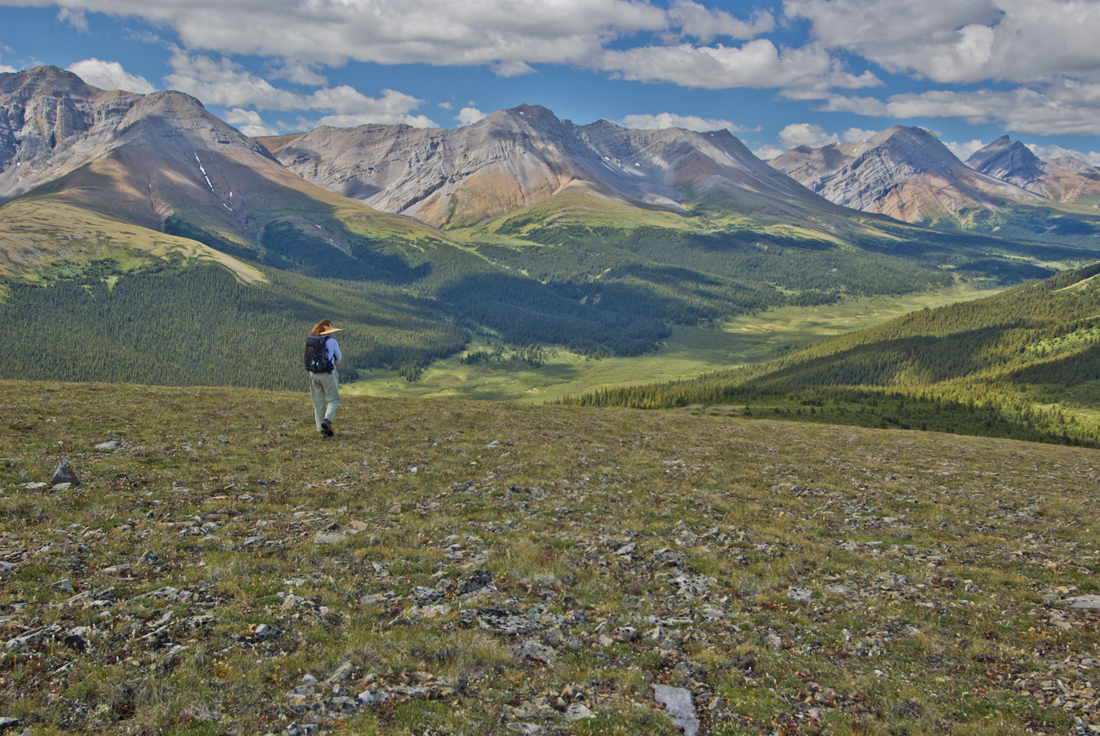 Willmore Wilderness Park, Rocky Mountains, Alberta, Canada